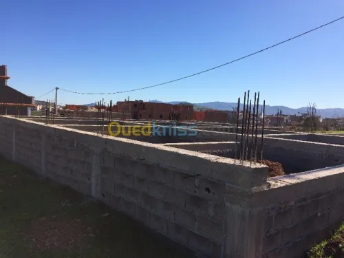 Vente Terrain Tlemcen Souahlia