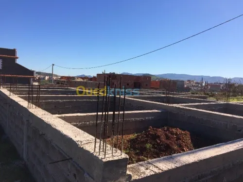 Vente Terrain Tlemcen Souahlia