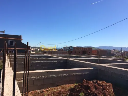 Vente Terrain Tlemcen Souahlia