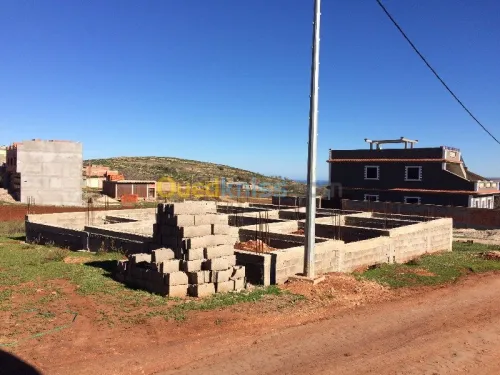 Vente Terrain Tlemcen Souahlia