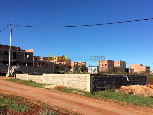 Vente Terrain Tlemcen Souahlia