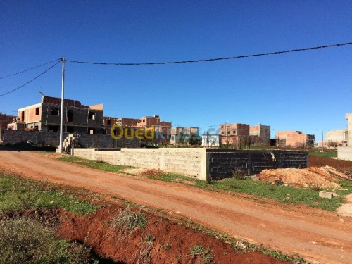Vente Terrain Tlemcen Souahlia