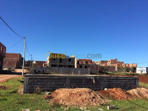 Vente Terrain Tlemcen Souahlia