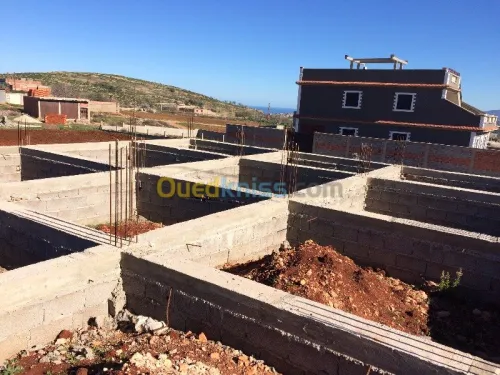 Vente Terrain Tlemcen Souahlia