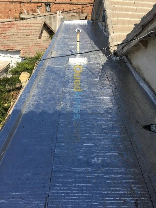 Travaux  Tachetée 