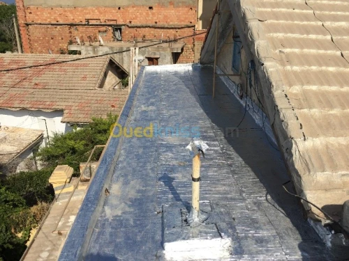 Travaux  Tachetée 