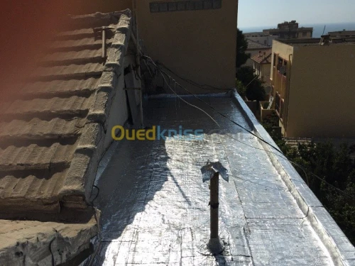 Travaux  Tachetée 