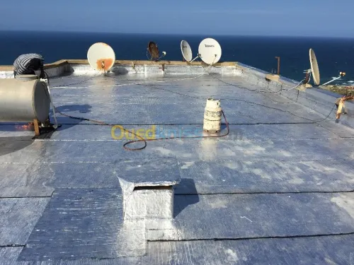 Travaux  Tachetée 