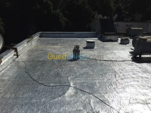 Travaux  Tachetée 
