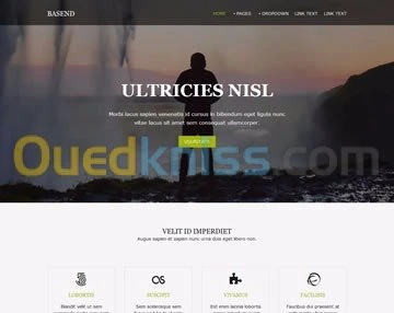 Conception de site web