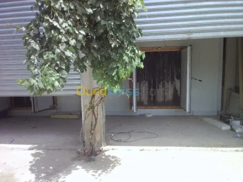 location chambre froide