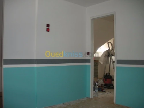 peintre professionnel