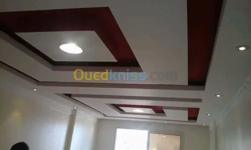 Décoration plaques aux plâtre et pvc