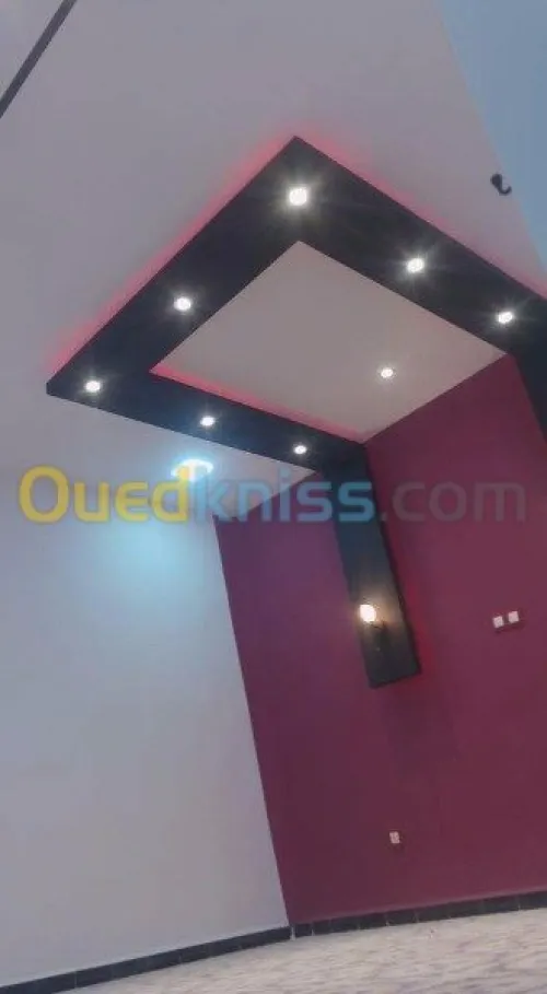 Décoration plaques aux plâtre et pvc