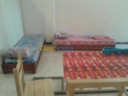 Location Appartement F2 Chlef Tenes