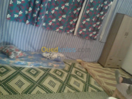 Location Appartement F2 Chlef Tenes