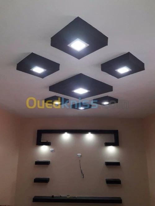 placo platre BA13  PVC  FAOUX PLAFOND 