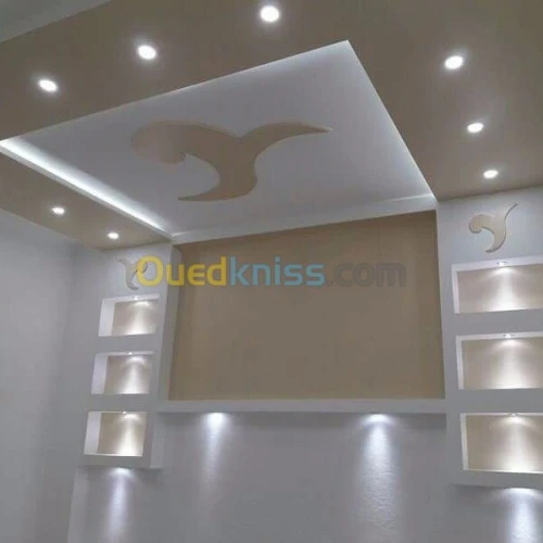 placo platre BA13  PVC  FAOUX PLAFOND 
