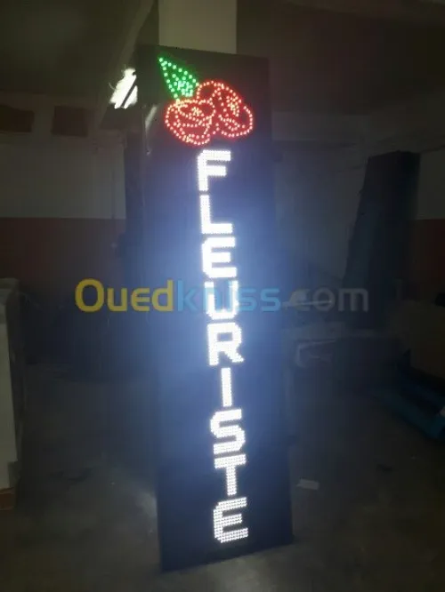 ENSEIGNES LUMINEUSES 