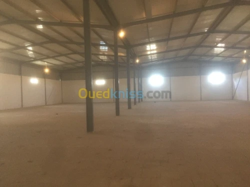 Location Hangar Alger Dar el beida