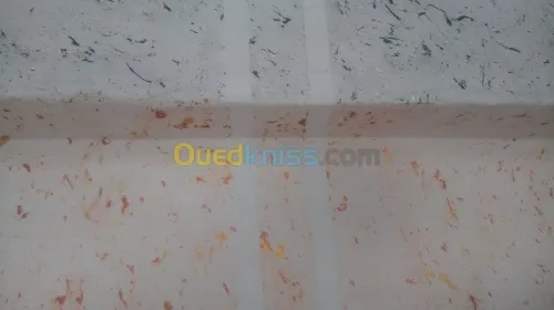 FAUX PLAFON / PLACO PLATRE / PAINTURE