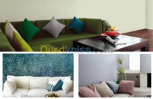 peinture d Interieur&Exterieur 