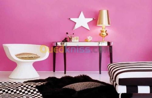 peinture d Interieur&Exterieur 