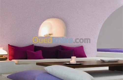 peinture d Interieur&Exterieur 