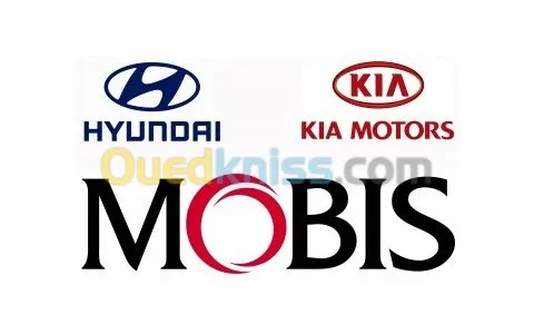 ETS ELGUELLIL IMP-EXP SSANGYONG-KIA-HYUNDAI-CHEVROLET