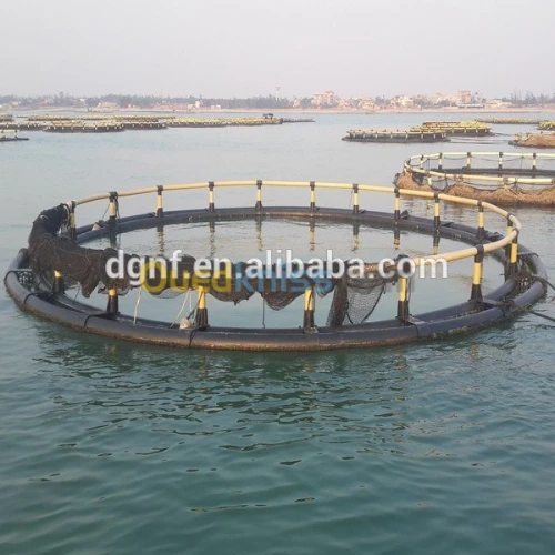 pisciculture intensive