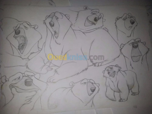 Graphisme-Illustration