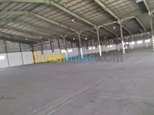 Location Hangar Blida Beni tamou