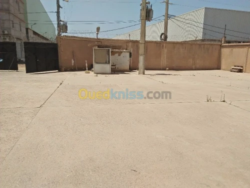 Location Hangar Blida Beni tamou