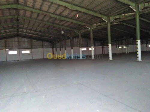 Location Hangar Blida Beni tamou