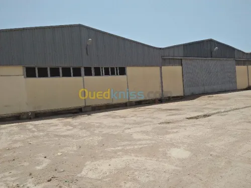 Location Hangar Blida Beni tamou