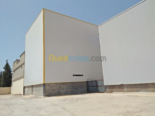 Location Hangar Blida Beni tamou