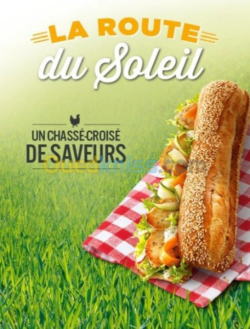 Publicité, Solutions d'impression