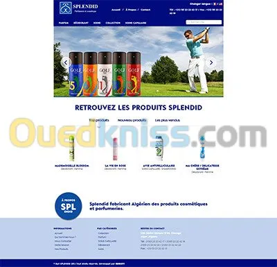Hébergement Web professionnel Cpanel + SSL