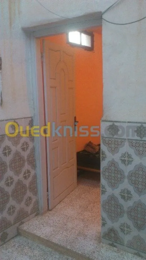 Vente bien immobilier Laghouat Tadjemout