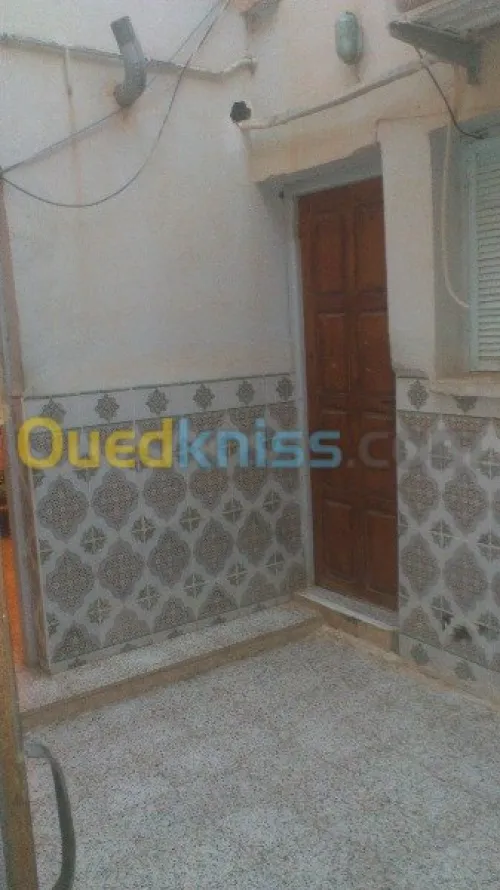 Vente bien immobilier Laghouat Tadjemout