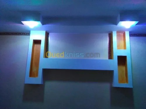 travaux de pose ou renovationBA13/BA06