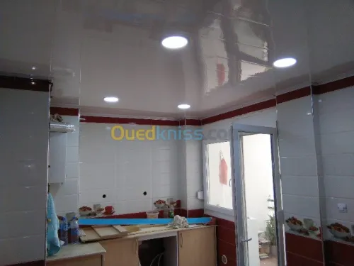 travaux de pose ou renovationBA13/BA06