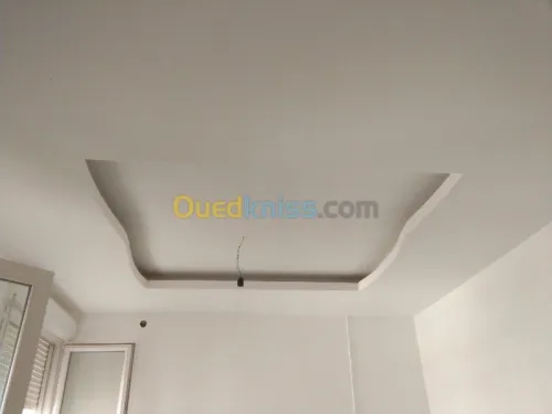 travaux de pose ou renovationBA13/BA06