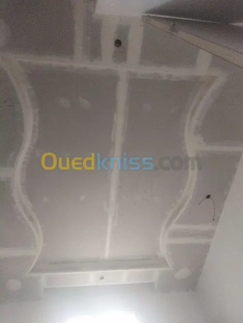 travaux de pose ou renovationBA13/BA06