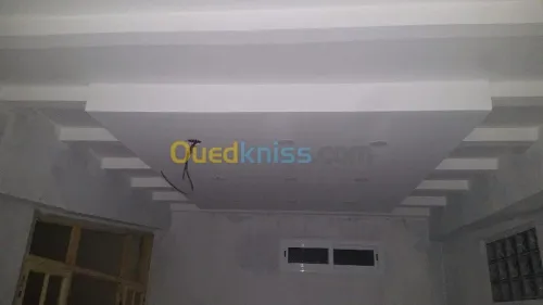travaux de pose ou renovationBA13/BA06