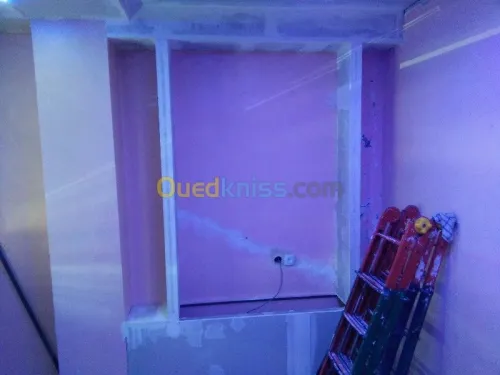travaux de pose ou renovationBA13/BA06