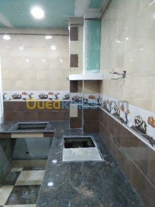 travaux de pose ou renovationBA13/BA06