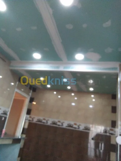 travaux de pose ou renovationBA13/BA06