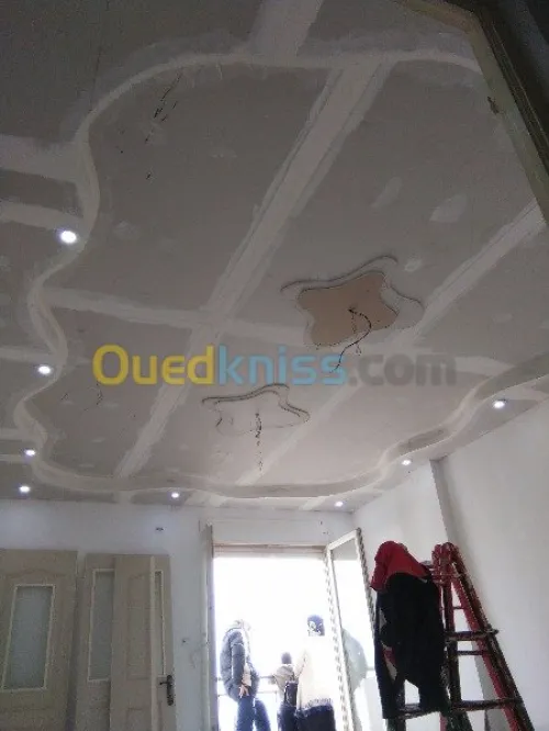 travaux de pose ou renovationBA13/BA06