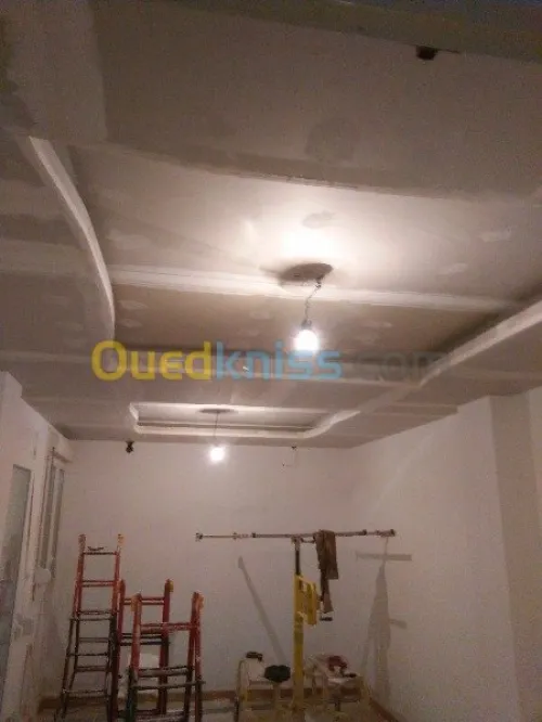 travaux de pose ou renovationBA13/BA06